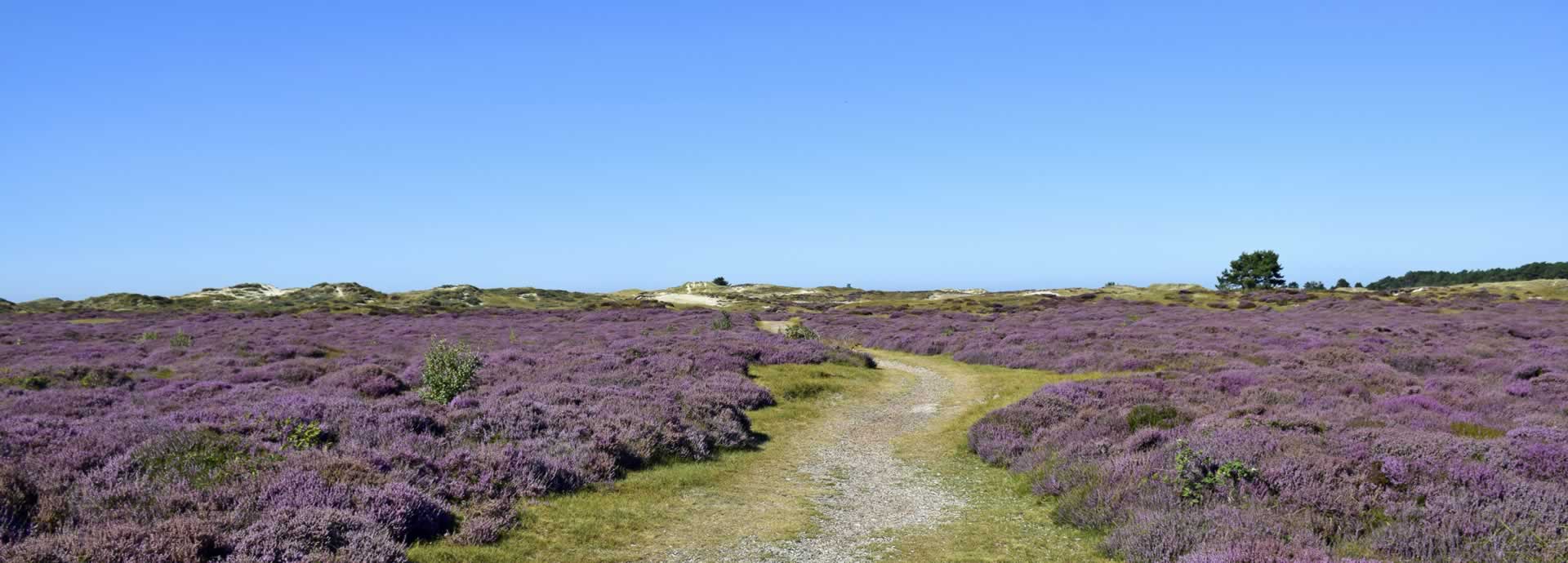 landerummerheide